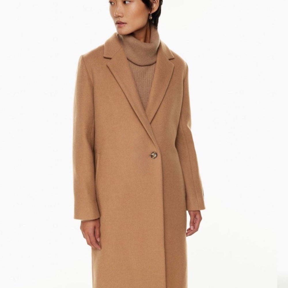 Aritzia Coat